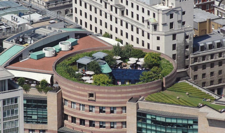 Dining Out, Coq D'Argent, No.1 Poultry