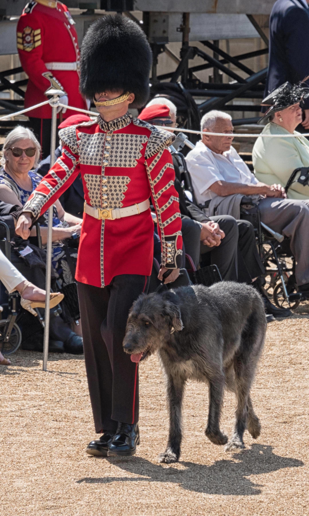 Trooping of the Colour The Queen's birthday