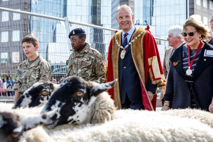 Sheep Drive London Bridge