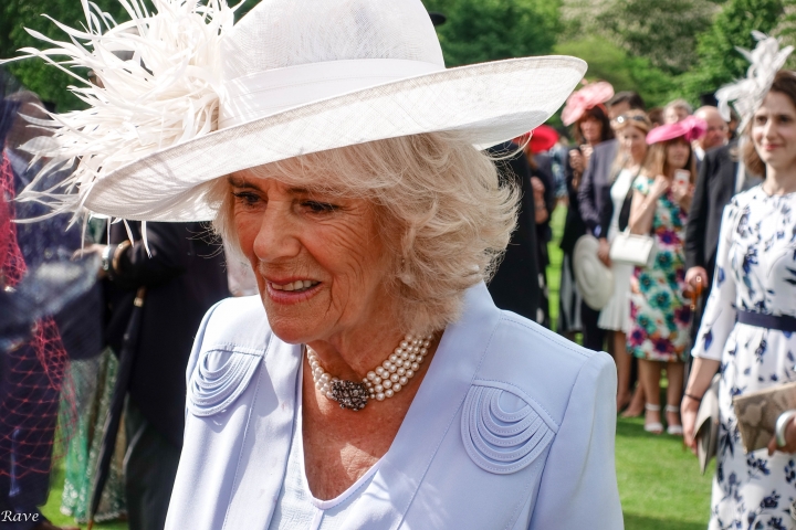 Royal Garden Party Buckingham Palace