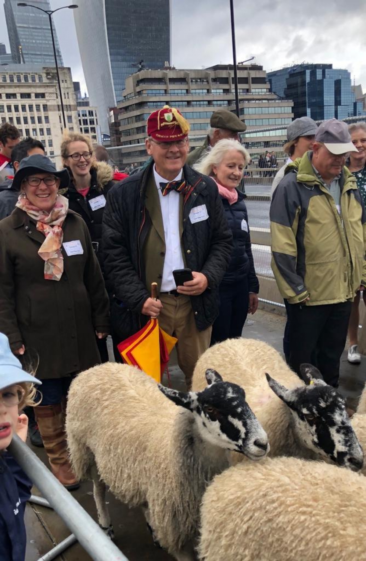 A Week of City Tradition From Driving Sheep to Voting For Lord Mayor!