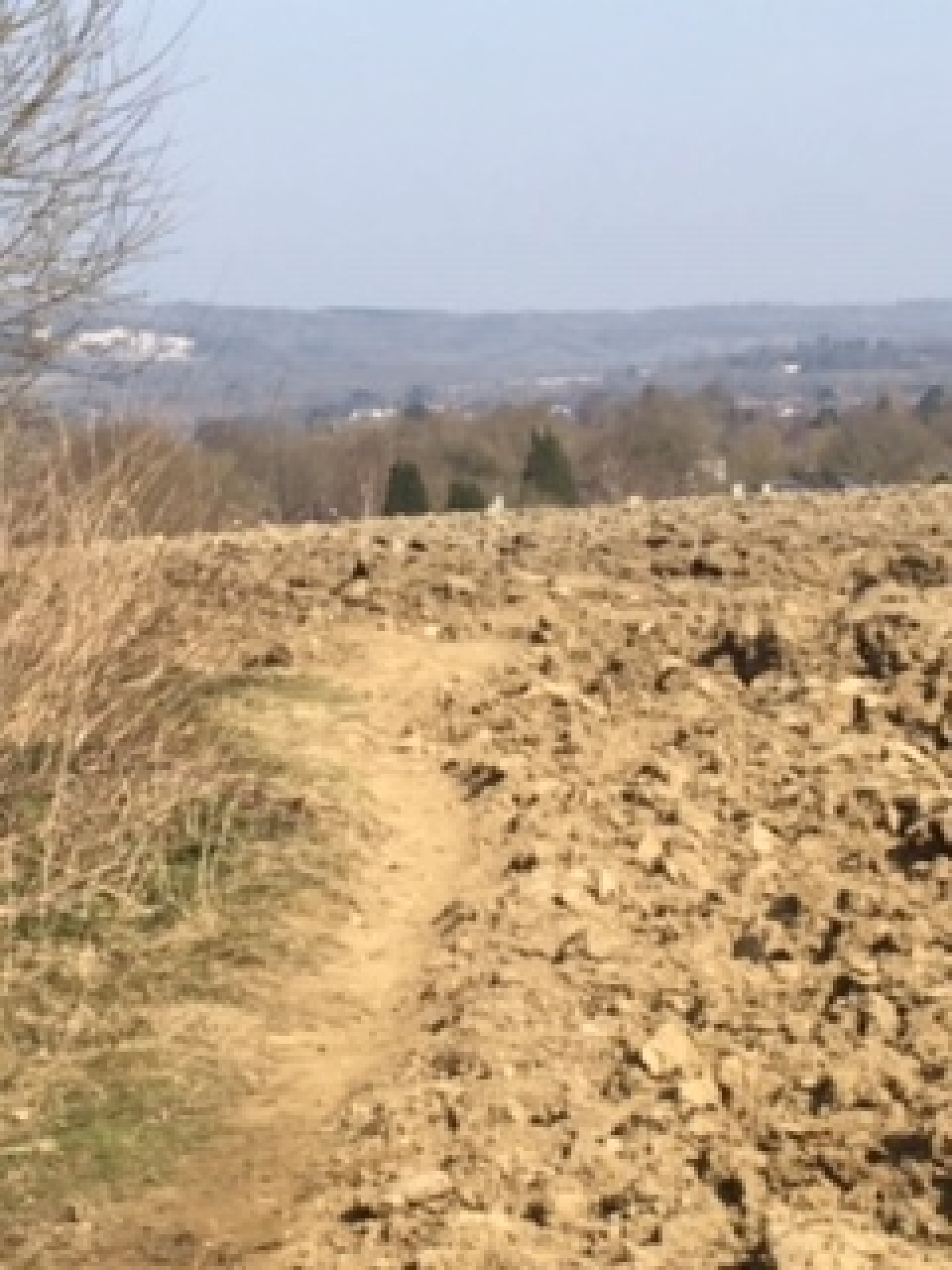 A Break from Coronavirus Spring arrives in Kent