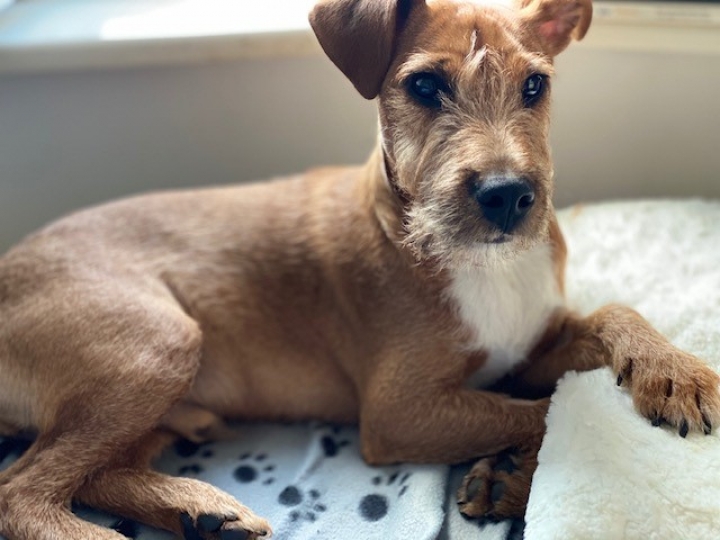 Our Company's First Virtual Freedom of the City