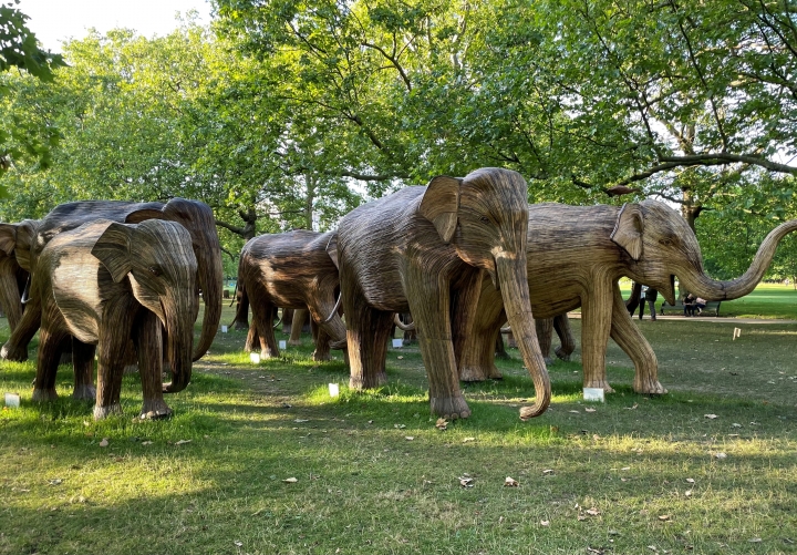 The London Regiment Anzio Dinner The Cavalry and Guards Club