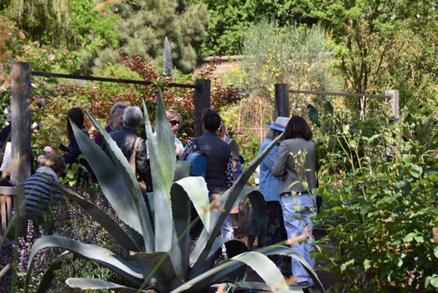 Mistress Event The Chelsea Physic Garden