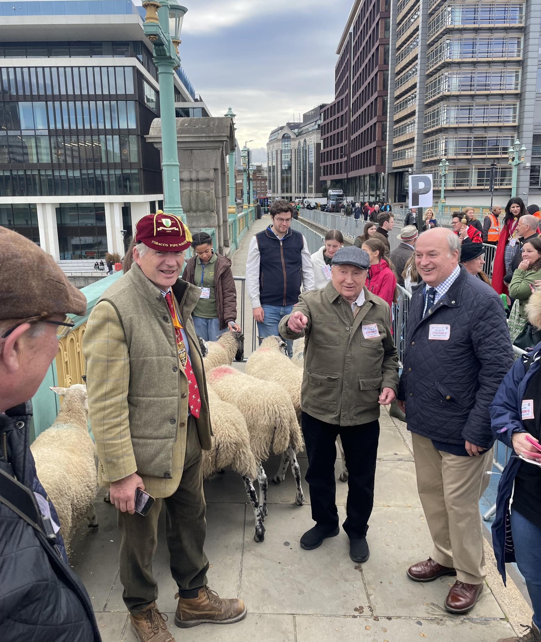 Sheep Drive Southwark Bridge