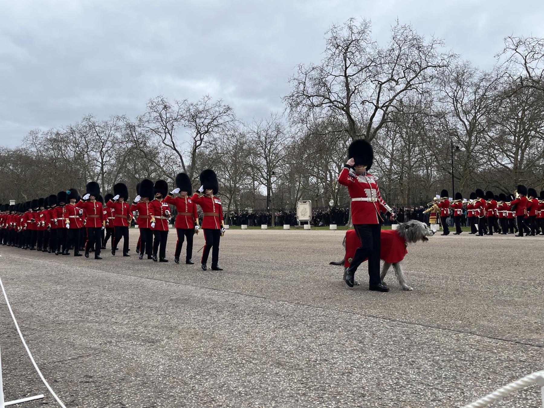 St Patricks Day Parade Wellington Barracks