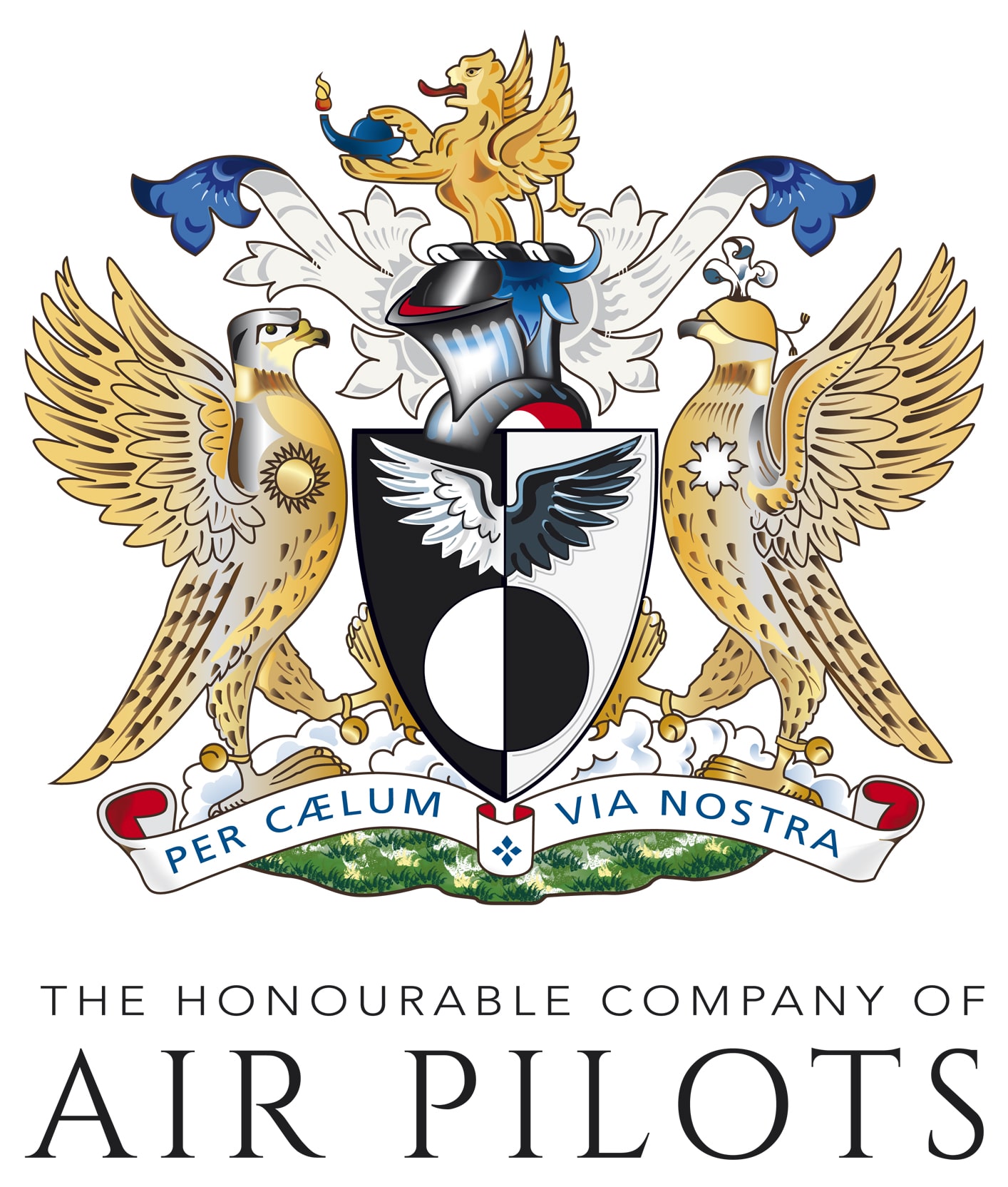 Air Pilots Livery Dinner Drapers Hall