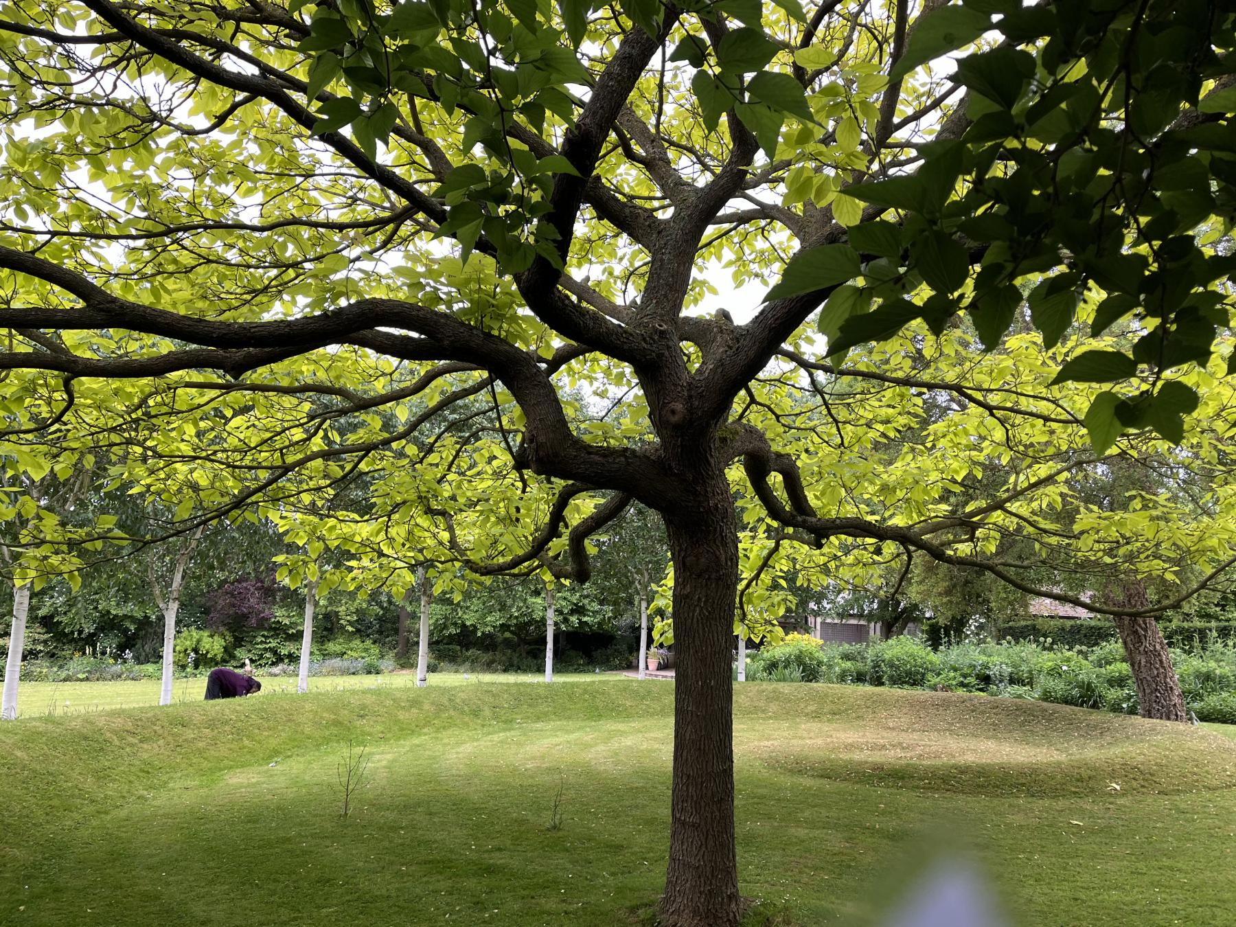 Theobalds Farmhouse Garden Crews Hill