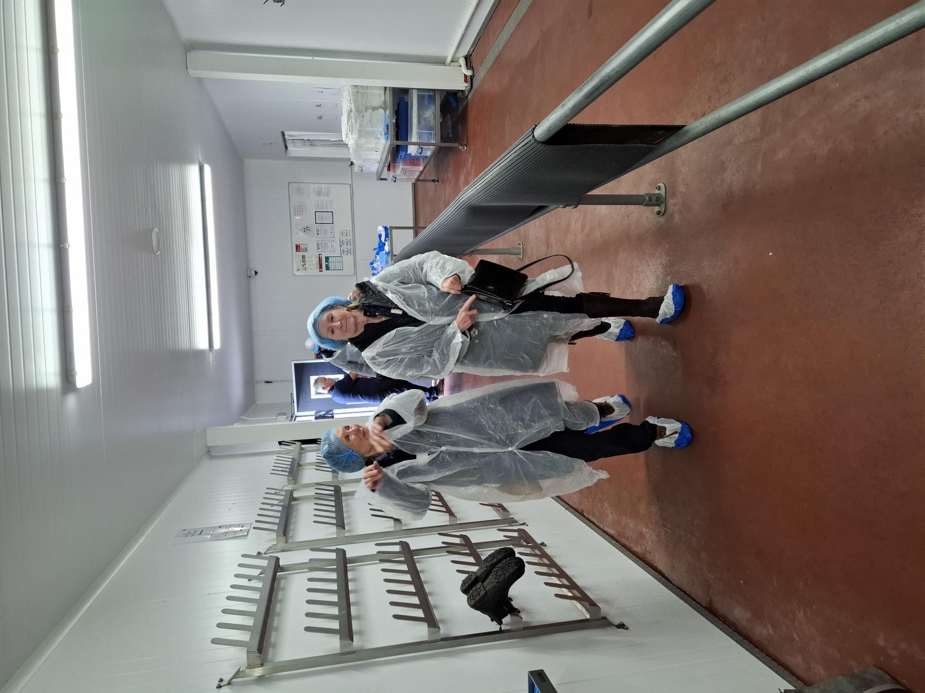 Kellys Bronze Turkey farm visit Guests of the Master Poulterer Paul Kelly