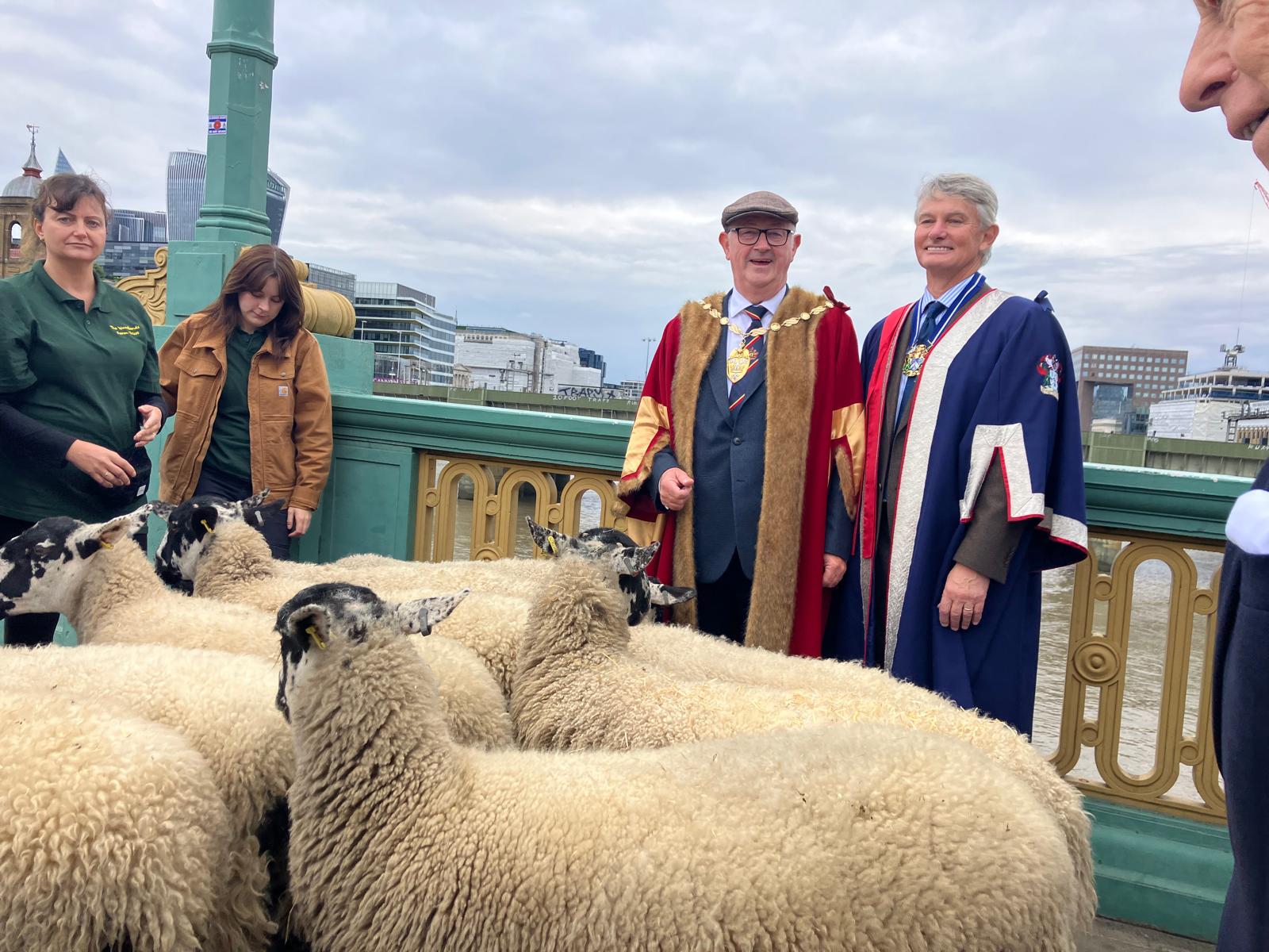 Woolmens' Annual Sheep Drive Southwark Bridge